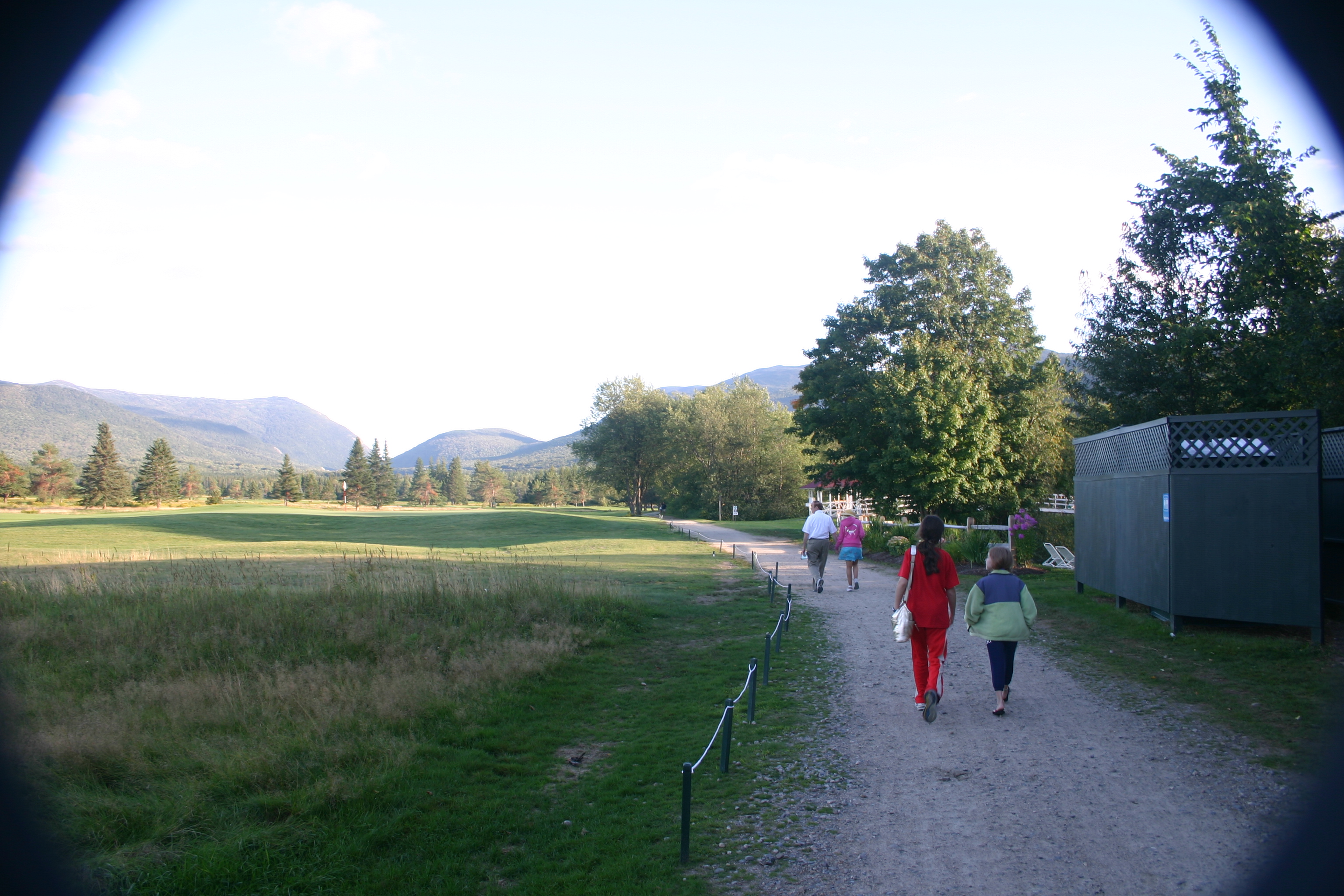 picture 50.